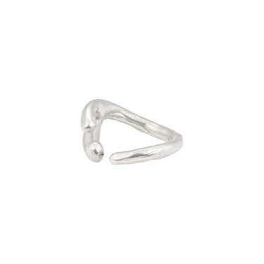 #0210 — left side view