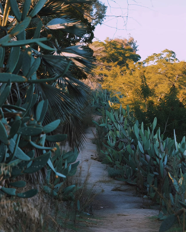Field Notes Vol.4
